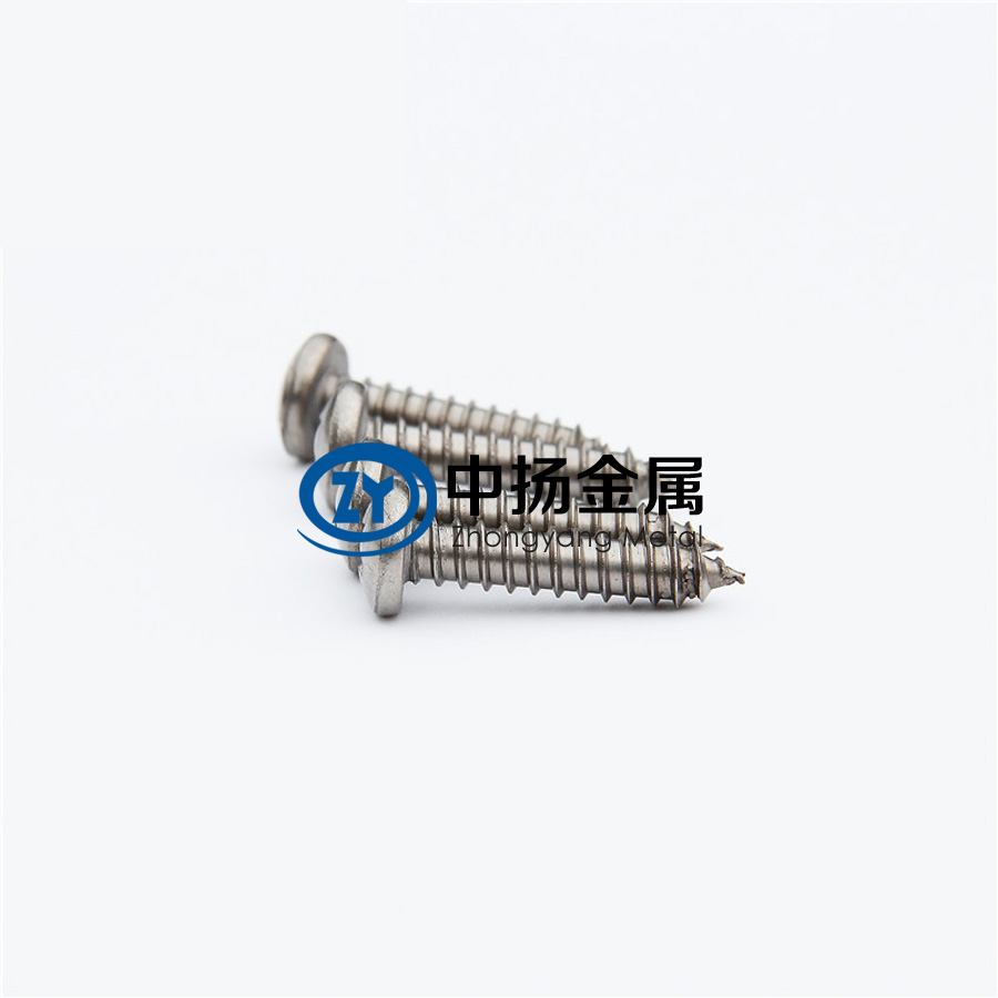 1598105505796786.jpg 鈦螺絲