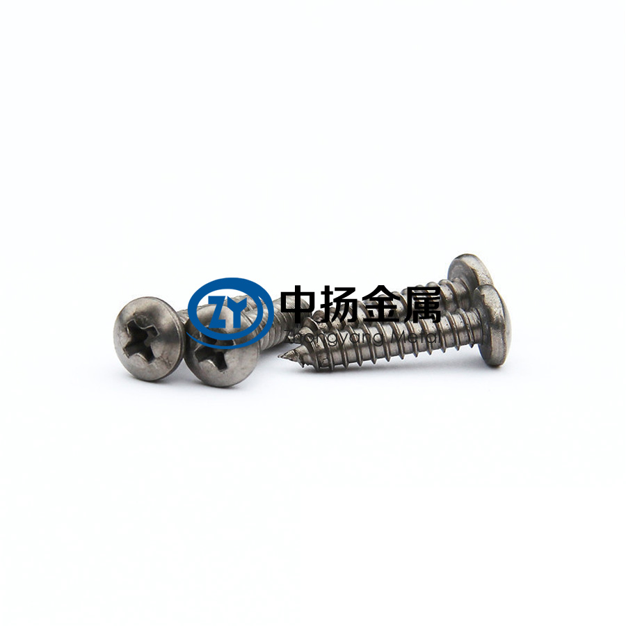 1598105515130617.jpg 鈦合金螺絲