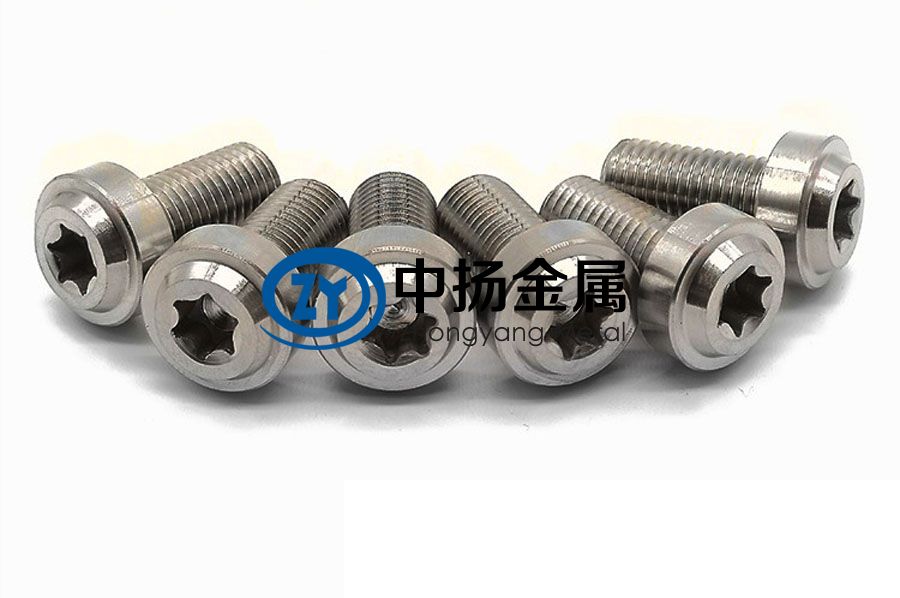 1600252226619190.jpg 鈦合金螺絲