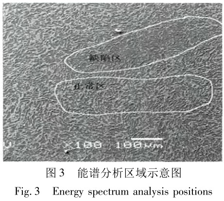 1683620788720438.jpg t3.jpg