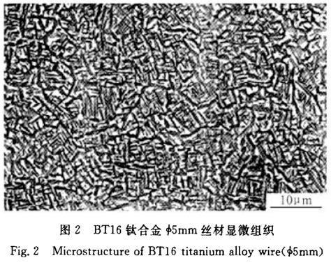 1700733149577885.jpg t2.jpg