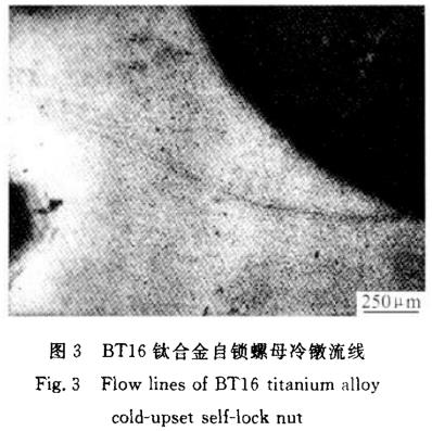 1700733158954397.jpg t3.jpg