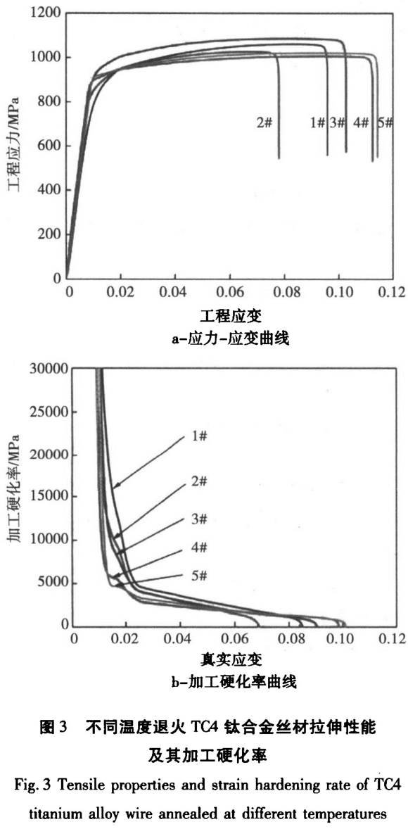1700879426104346.jpg t3.jpg