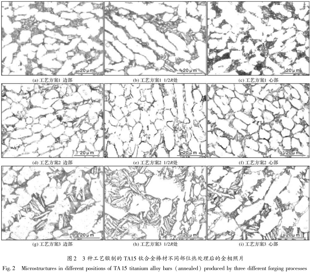 1718270029504840.jpg 未標(biāo)題-1.jpg